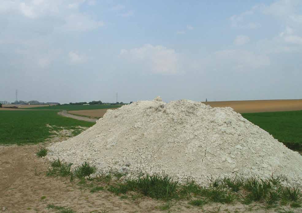 cichoreicampagne in oreye Goed en minder goed nieuws De cichorei-oogst gaat verder in Oreye.