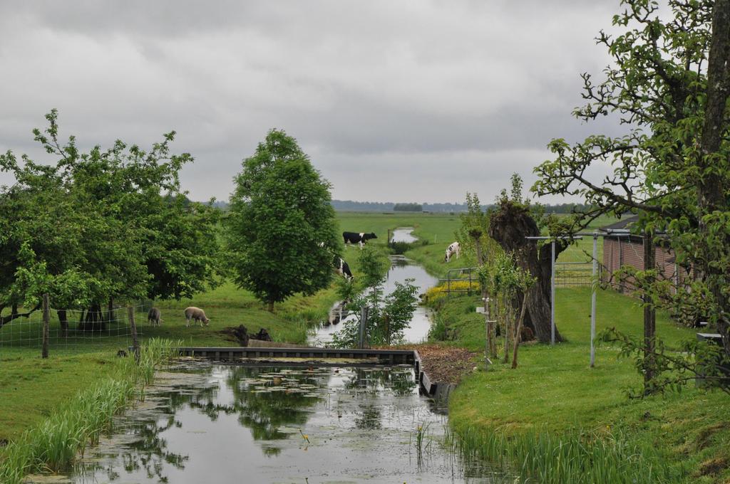 4. Adaptieve peilstrategieën vertraging (ongelijkmatige) bodemdaling Ons waterschap houdt niet meer vast aan de koers van (volledige) peilindexatie.