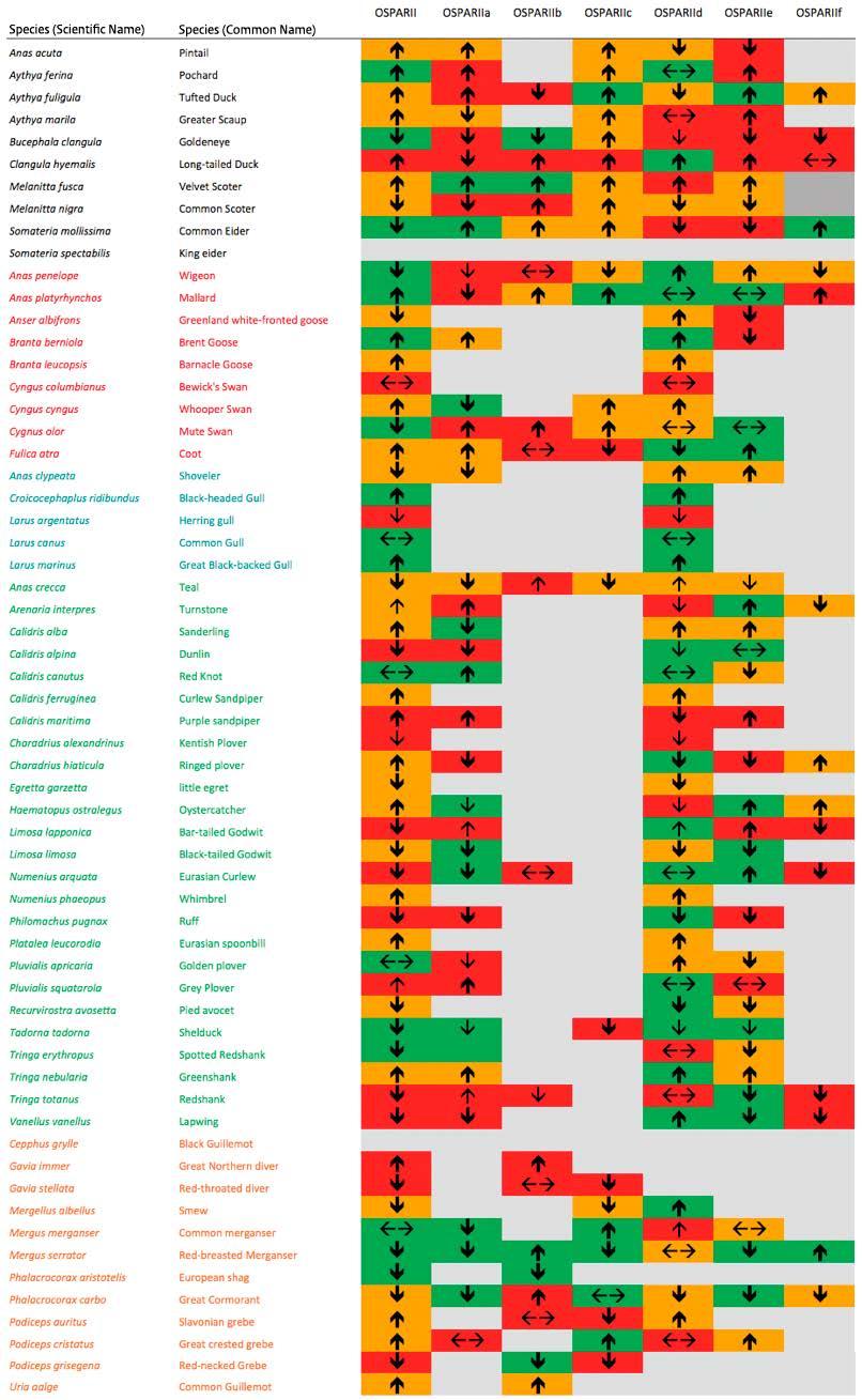 Tabel 3: Trends van niet-broedvogels in de Internationale Noordzee ( II) en opgedeeld in deelgebieden (zuidelijke Noordzee is IId).