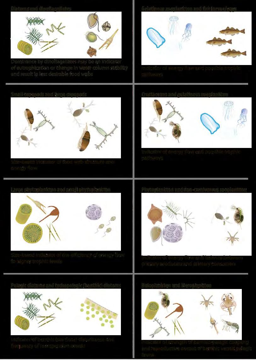 freshwater influence, ROFI); seizoensmatig gestratificeerd (gedurende ongeveer een half jaar, de zomer inbegrepen); periodiek gestratificeerd; en ongedefinieerde gebieden (onregelmatige afwisseling