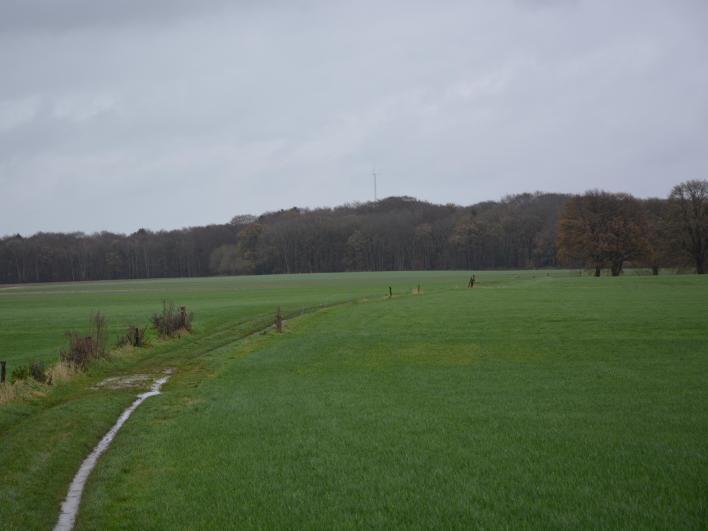 3 Hezinger Esch Hazelbekke Van bosgebied naar essen. Aan de rechterkant, weggezakt in het landschap, ligt natuurgebied de Hazelbekke.