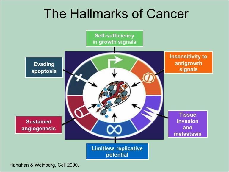 The Hallmarks of Cancer De auteurs geloven dat de complexiteit van