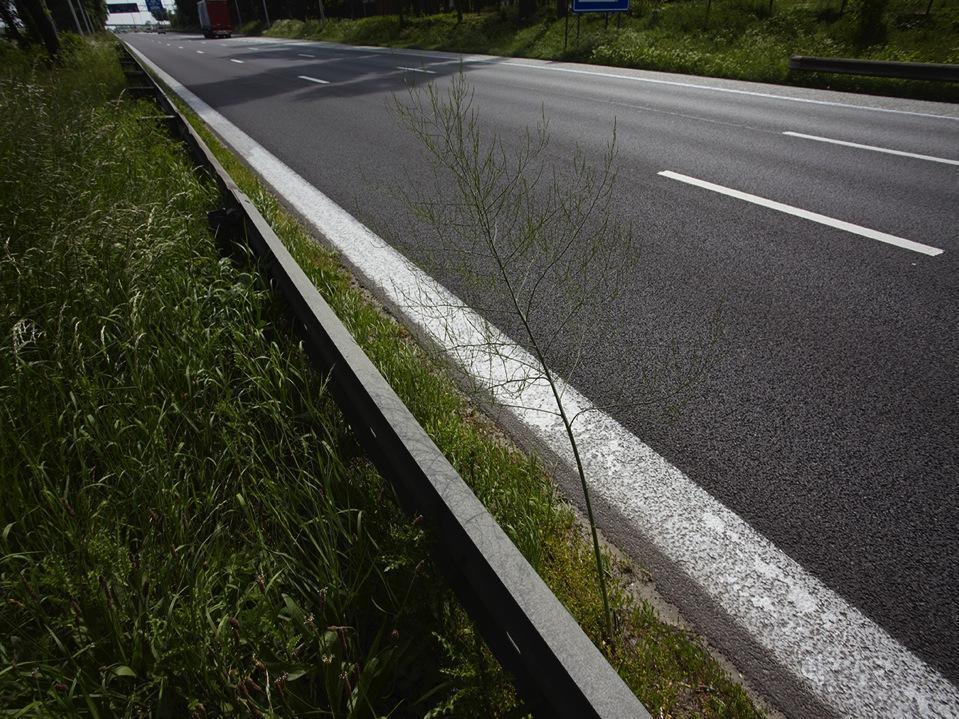 Aan de slag met KTO 2015 Kennisdag AWV