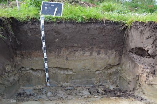 Het archeologisch vooronderzoek aan de Heihoekweg te Boortmeerbeek Profiel PR11 1. Algemene gegevens 1. Beschrijver: Jeroen Verrijckt, Studiebureau Archeologie. 2.