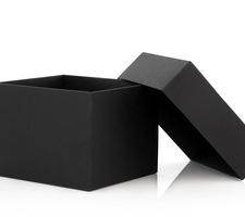 Taal en Cognitie: Een Black Box