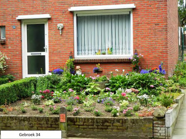 Zonnedauwhof 59: Een fleurige tuin met ronde vormen en vaste planten in roze, blauwe en paarse kleuren.