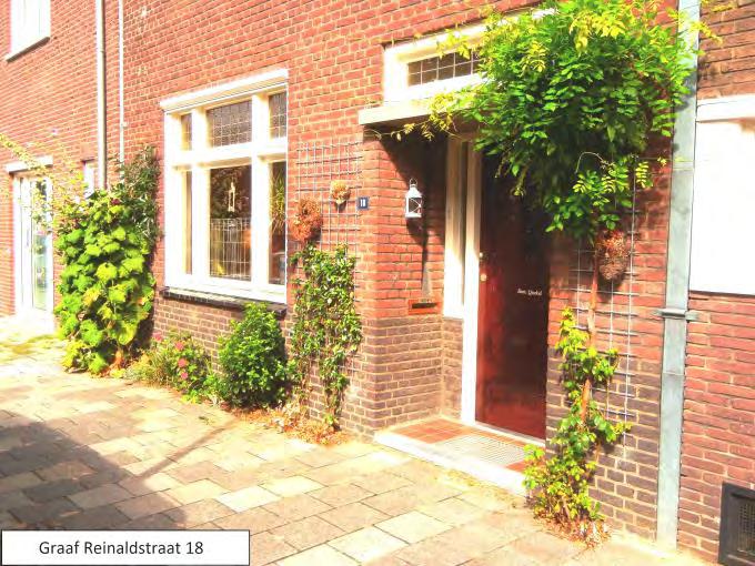 Graaf Reinaldstraat 18: Deze tuin heeft de jury gekozen om het belang en de uitstraling van de geveltuin nog eens onder de aandacht van het publiek te brengen.