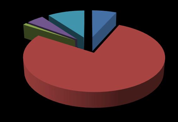 Gasverbruik voor verwarming van de vestigingen (7%) Samen is dit goed voor 99%