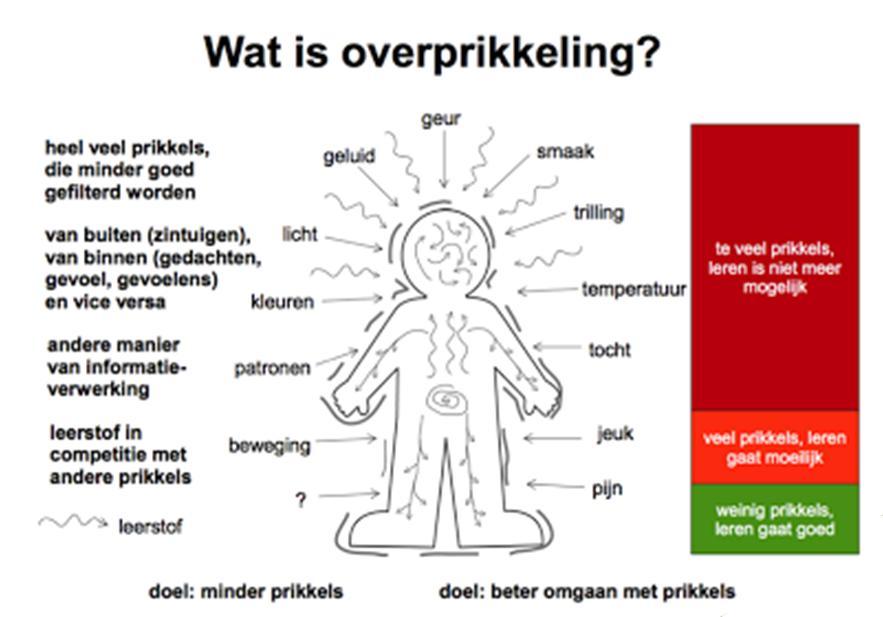 Het is een optelling Vragen Hebben hoogbegaafde kinderen door hun hoogbegaafdheid meer behoefte aan prikkels?