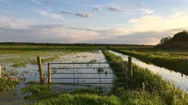 Gennep Kantooradres Hollesteeg 1a 5831 TH Boxmeer T