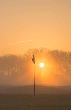 Business Talents Membership 4. The Dutch The Dutch, een top golfbaan in de aller hoogste staat van onderhoud. Topfaciliteiten en een on-nederlands service niveau.