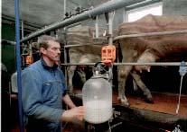 Bedrijf Ormel Mulder Aantal koeien 70 34 Ras Jersey Brown Swiss Grasland (ha) 35 30 Graan (ha) 10.7 4.6 Kg meetmelk/ha 8000 7200 Kg melk/koe per jaar 4300 6300 % vet 5.95 5.05 % eiwit 3.97 3.