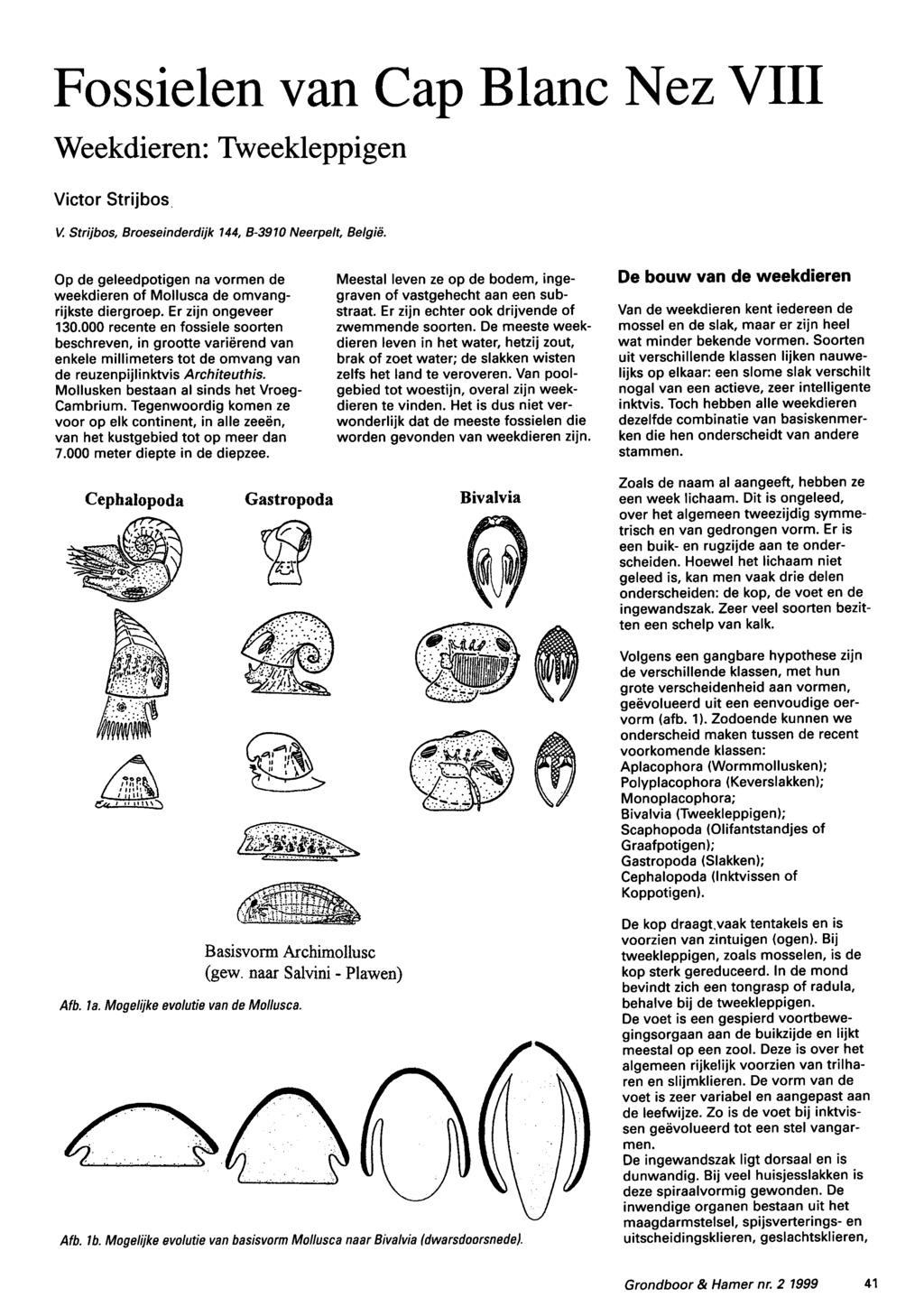 Fossielen van Cap Blanc Nez VIII Weekdieren: Tweekleppigen Victor Strijbos V. Strijbos, Broeseinderdijk 144, B-3910 Neerpelt, België.