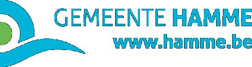 1/9 AGENDAPUNT VAN DE GEMEENTERAAD VAN HAMME IN ZITTING VAN 20/12/2017 Referentienummer agendapunt: GR/2017/182 REGLEMENT 'PREMIE GEVELRENOVATIE HANDELSPANDEN IN HET KERNWINKELGEBIED' - GOEDKEURING -