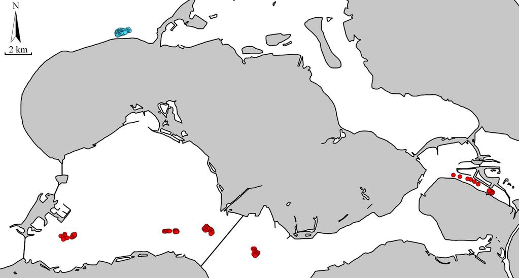 Schelpdier Afhankelijke Soorten Inventarisatie: SASI s van de MZI s in de Oosterschelde en in het Brouwershavense gat, zomer 2018 3.