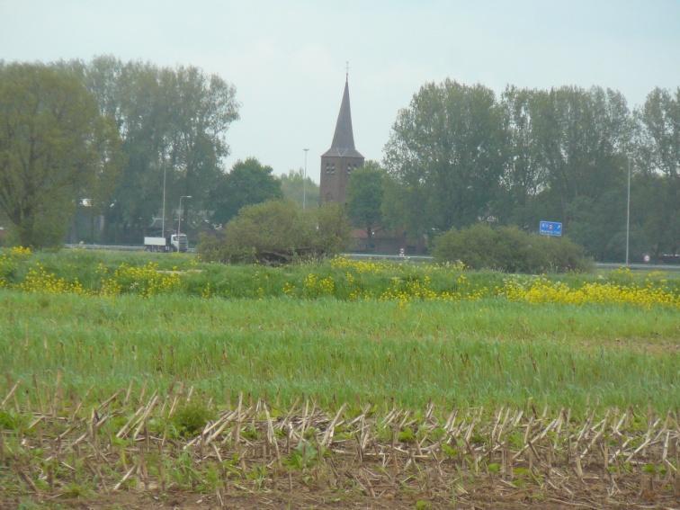 Er zijn 4 kievitslegsels verloren gegaan (2x predatie en 2x door verlaten). Er zijn 12% minder nesten gevonden dan vorig jaar rond deze tijd.