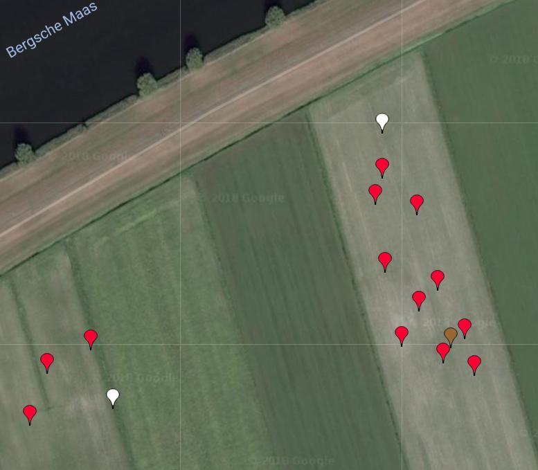 Waalwijk en niet meer in de omgeving van de Hoogendoornweg ten oosten van het Afwateringskanaal.