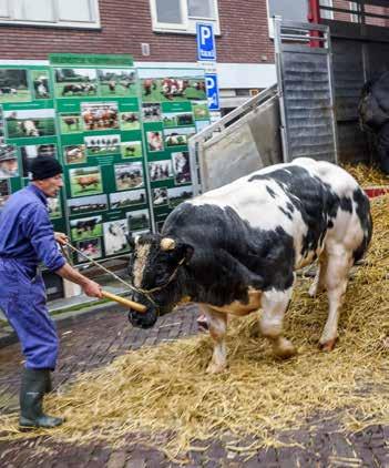 Landbouwdag Alkmaar Afgelopen september werd in Alkmaar weer de