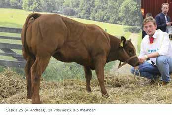Saskia 25 (Andreas x Leijenhorst 149) van Johan v.d Ven was het meest complete dier in de rubriek vrouwelijk vee 0 tot 5 maanden, van maatschap te Riele. Beide dieren hebben als vader Stephan (v Tom).