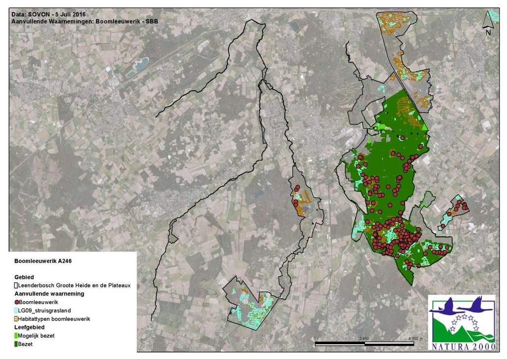 Figuur 6.1. Leefgebied LG09 volgens SOVON-methode, juli 2016 en territoria boomleeuwerik (SBB). Daarnaast is er voor de boomleeuwerik sprake van een kennislacune.