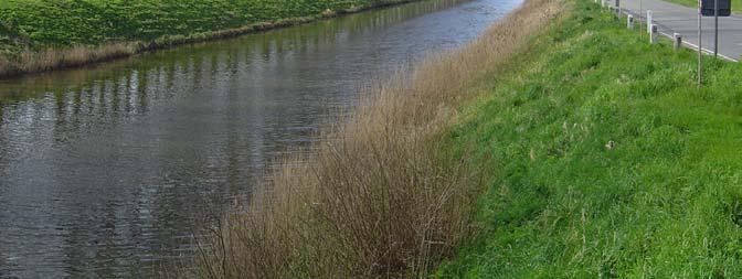 Ten noorden van de Raverschootbrug is het landschap reeds sterk verstoord door de aanwezigheid van windmolens, hoogspanningsleidingen, dwarsende infrastructuren en industriële ontwikkelingen.