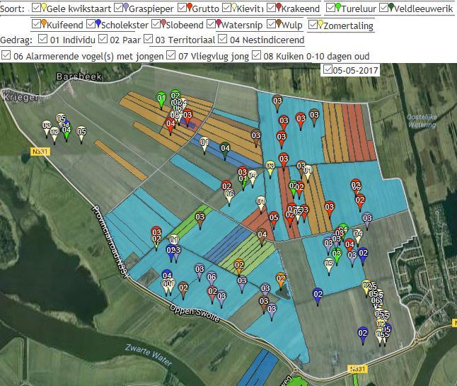 Individu 01 Barsbekerbinnenpolder 2017 Paar 02 Territoriaal 03 Nestindicerend 04 Nestlocatie 05 Alarmerende vogel(s) met jongen 06 Kievit 5 1 4 4 10 4 Grutto 5 11 2 1 Tureluur 4 4 1 2 Wulp 1 6 1