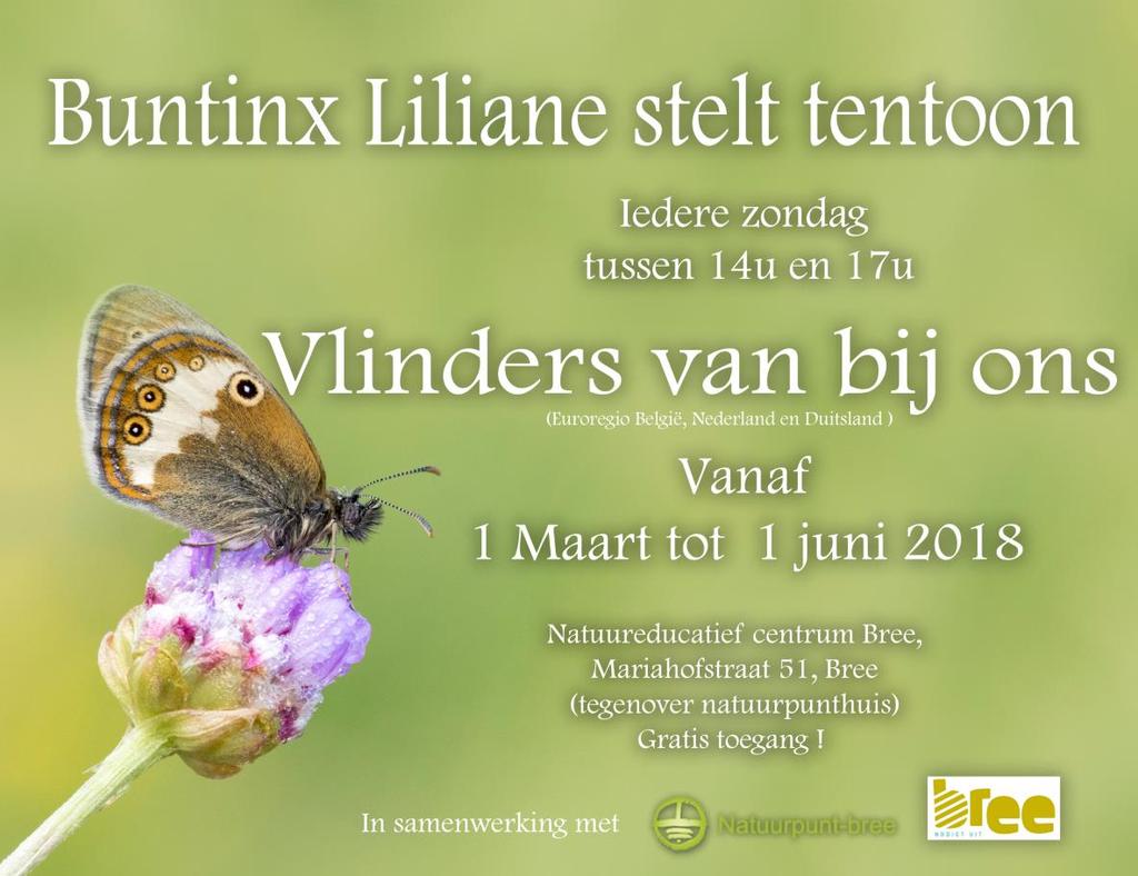 01 Maart tem 01 Juni 2018 LILIANE BUNTINX VLINDERS VAN BIJ ONS Foto expositie in het Natuureducatief Centrum Bree met als