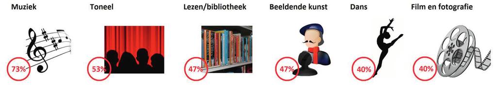 30 De combinatiefunctionarissen cultuur zijn de afgelopen 12 maanden het meest betrokken geweest bij activiteiten gerelateerd aan muziek (73%) en toneel (53%) (zie figuur 6.10).