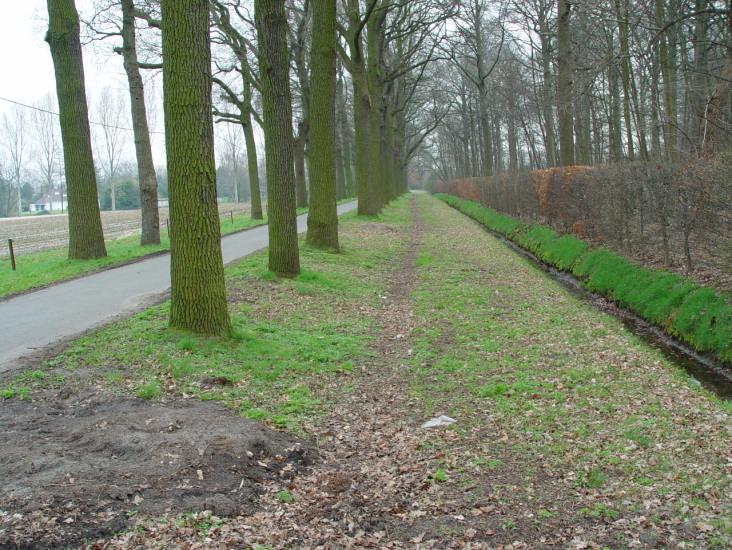 BERMFICHE 6 Groeningelei B 1. situering Langs de kant van de verkaveling Deze berm is een verbindingsweg voor fietsers en voetgangers tussen de Kleistraat en de Kontichsesteenweg.