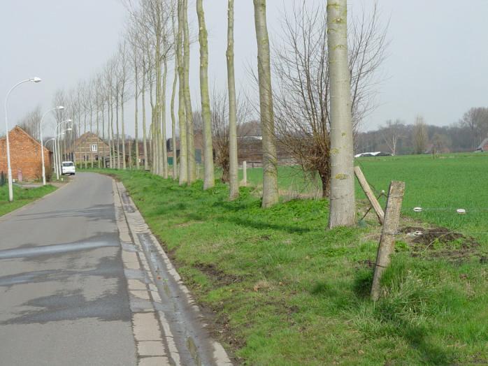 BERMFICHE 11 Groenenhoek B 1. situering Struisbeek tot grens Wilrijk Deze berm ligt aan een verkaveling. Langs één zijde zijn er akkers en aan de andere zijde staan er huizen.