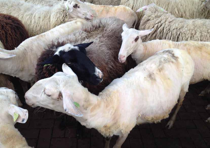 In Natuur en Gezondheid draait het om de mensen, dieren en planten en hun onderlinge samenhang.