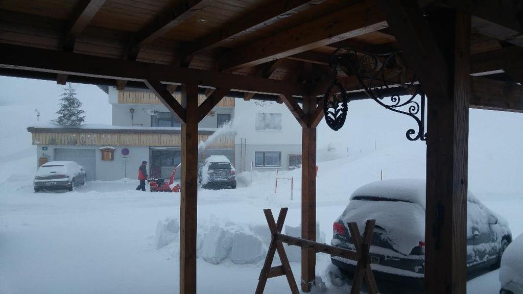 Grijze lucht, een flinke bries, verwaaiingen en sneeuw.