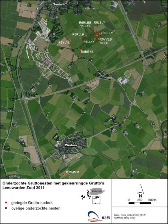 A&W-rapport 1718. Adres onbekend 37 Locatie van gevonden Gruttonesten in deelgebied Leeuwarden Zuid in 2011.