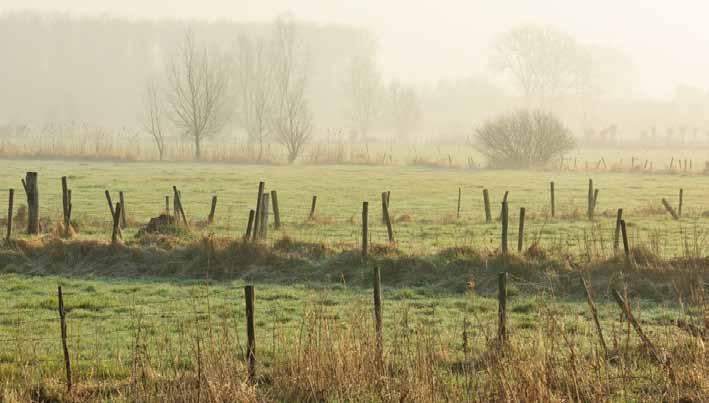 Intussen in Bergenmeersen en Wijmeers Vilda - Yves Adams In de deelgebieden Bergenmeersen en Wijmeers zijn we dit voorjaar met de werken gestart.