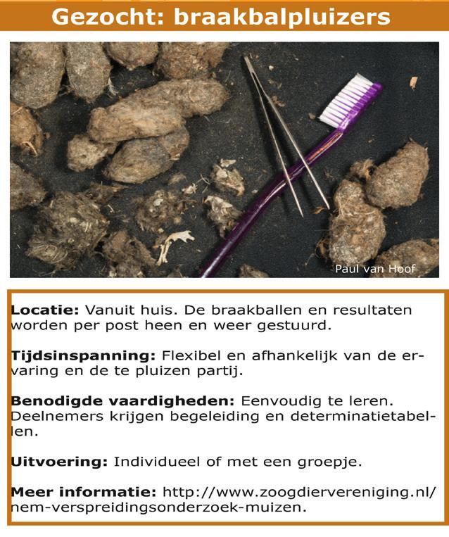 NEM Meetnet Konijnentellingen Figuur 3 laat zien hoe verschillend de ontwikkelingen in de duinen in de provincies Noord- en Zuid-Holland zijn.