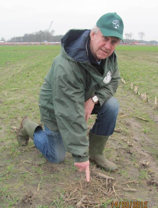 In onze omgeving komen grutto s voornamelijk voor op de Emminkhuizerberg nabij Veenendaal en nabij buurtschap Walderveen tussen Renswoude en Barneveld.