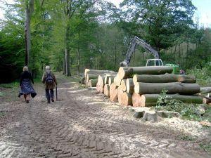 Kluizenaarshut De route gaat niet langs graf van de kluizenaar (zie foto), maar het ligt vlak bij de Kluizenaarshut, kunt u het vinden? http://www.landgoedvilsteren.