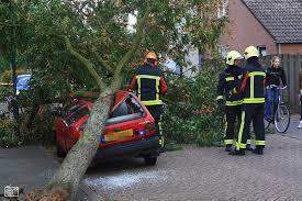 Bomen kappen buiten bos Uitzonderingen stedenbouwkundige vergunningsplicht: 3.