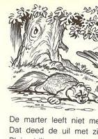 In tachtig procent speelt de grote antagonist van Pluim de eekhoorn een rol, namelijk de (naamloze) boommarter. De boekjes zijn om voor te lezen vanaf 4 jaar, en om zelf te lezen vanaf 6 jaar.