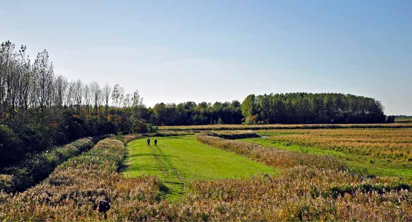 Rondje Lauwersmeer Project ter versterking