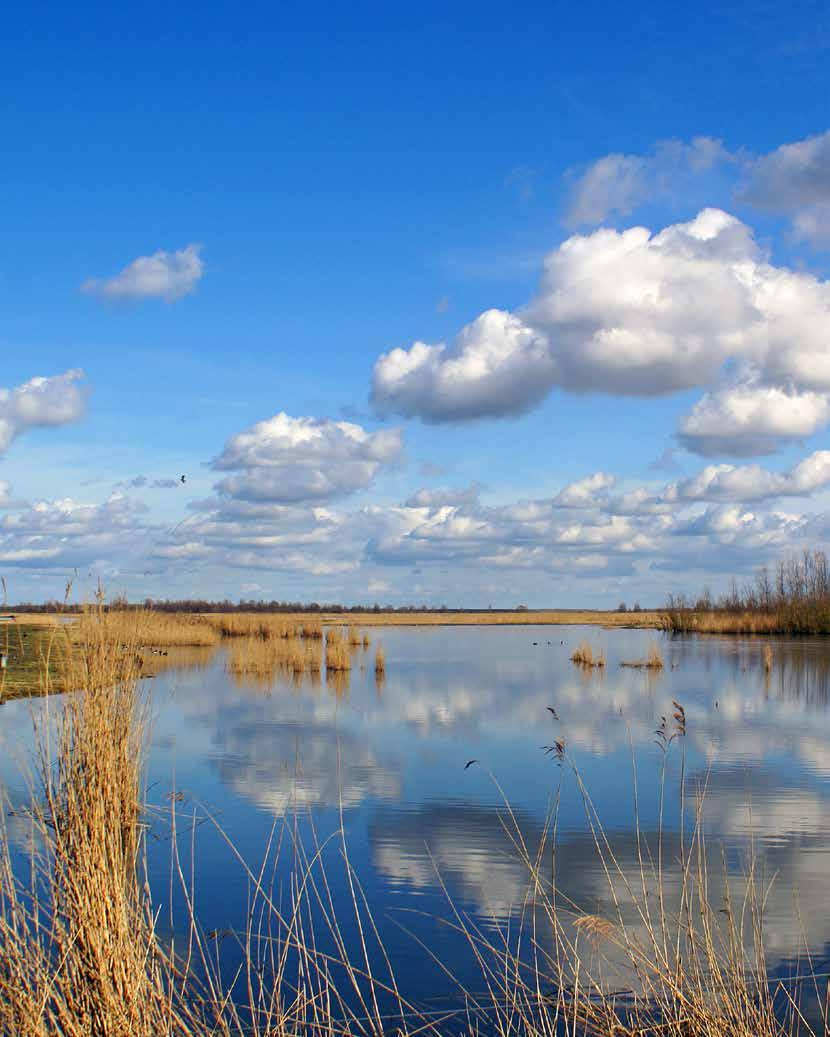 Ambitie Lauwersmeer A. de natuur in de randzones wordt aantrekkelijker en toegankelijker gemaakt B.