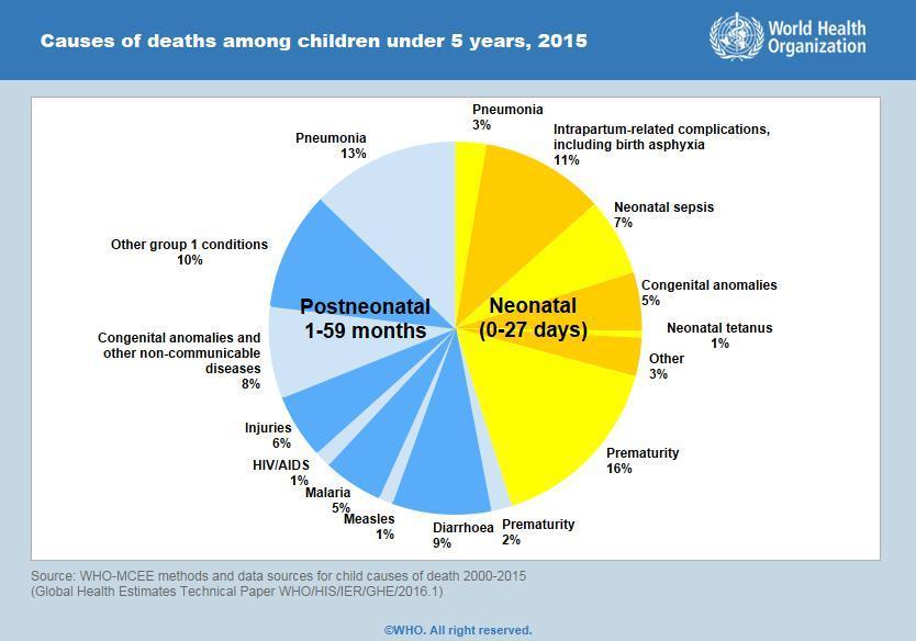 Inleiding Respiratoire pathologieën vormen een zeer belangrijke groep aandoeningen binnen de kindergeneeskunde Wereldwijd