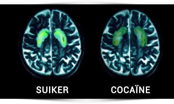 Dopamine -> beloning!