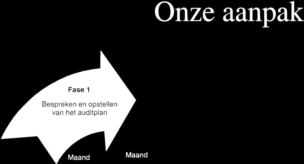 Zowel uw medewerkers als het controleteam van Deloitte worden zodoende in staat gesteki zich te concentreren op de belangrijkste