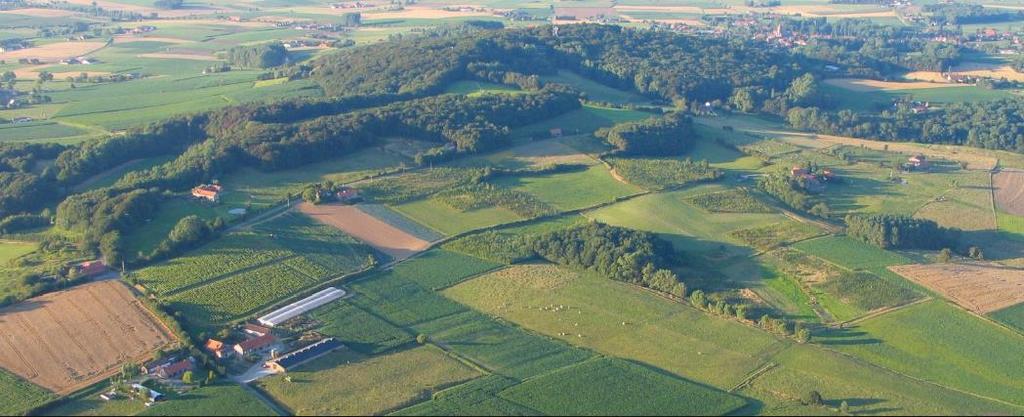 19 Het gaat over: het landschap dat bepaald is door haar fysisch systeem, maar ook door menselijk ingrijpen (landbouw, economie, recreatie, ) de open ruimte als één van de bepalende elementen van dit