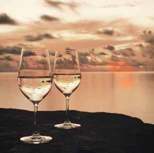 De wijnen Aconcagua Costa Sauvignon Blanc Streek: Aconcagua Costa Druif: Sauvignon Blanc fris grapefruit passievrucht