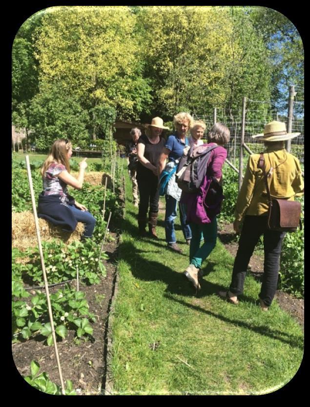 Excursies Excursie Bezielde Tuinen op 15 mei Op deze dag hebben een 8-tal vrijwilligers drie prachtige tuinen bezocht: De Ommuurde Tuin in Renkum, De Beken ook in Renkum en De Hoge Born in Wageningen.