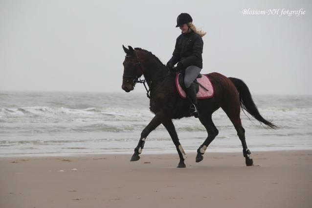 Laura Paarlberg haar lidmaatschap heeft opgezegd; Dit geldt ook voor David Bonaccorso; Sandra Boerkamp voortaan 1x in de vier weken, de les van Rob overneemt; In de