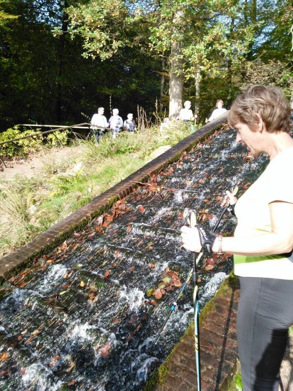 Herfstwandeling in Beekhuizen, Velp In de herftsvakantie is een grote groep Nordiccers afgereisd naar Velp om daar onder leiding van Fred en Wilma een mooie wandeling te maken.