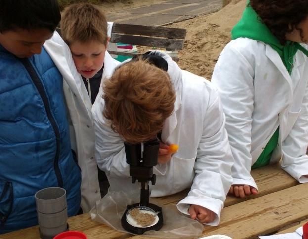 Strand-Lab Zonder zand is er geen strand, maar wat is zand eigenlijk? Hoe eet een zeepok? Hoeveel zout zit er in 1 liter zeewater? Wie eet plastic? Heeft de zee last van verzuring?